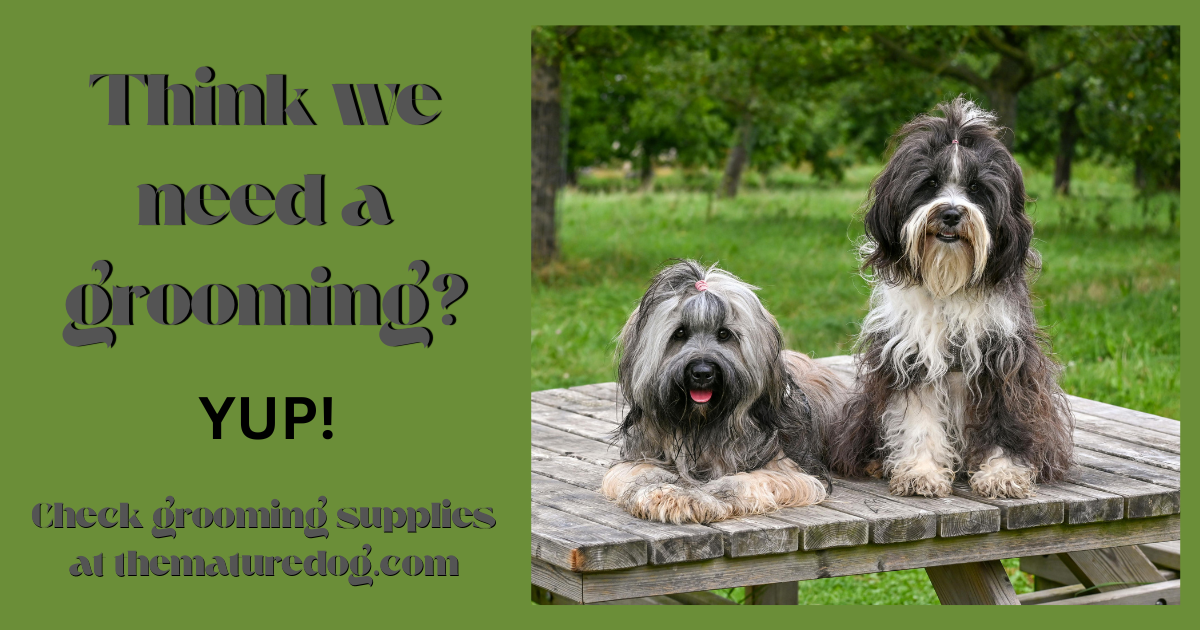 Think we need a grooming?