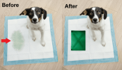 Hide A Pee Pee Spot Covers for Dog Pee Pads | Mellow Yellow Paw Prints X & O Package of 2 Starter Kit