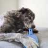 Steel Dog - Slow Treater Pickleball Paddle