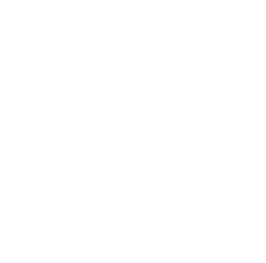 The Mature Dog