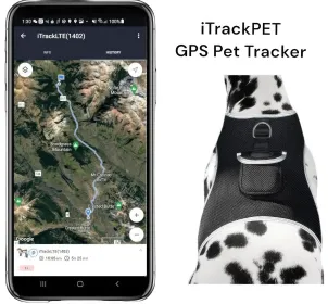 Wireless GPS Tracking Collars for Hunting Dogs Realtime Tracking Tool Size (size: M)