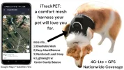 Wireless GPS Tracking Collars for Hunting Dogs Realtime Tracking Tool Size