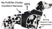 Wireless GPS Tracking Collars for Hunting Dogs Realtime Tracking Tool Size
