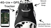 Wireless GPS Tracking Collars for Hunting Dogs Realtime Tracking Tool Size